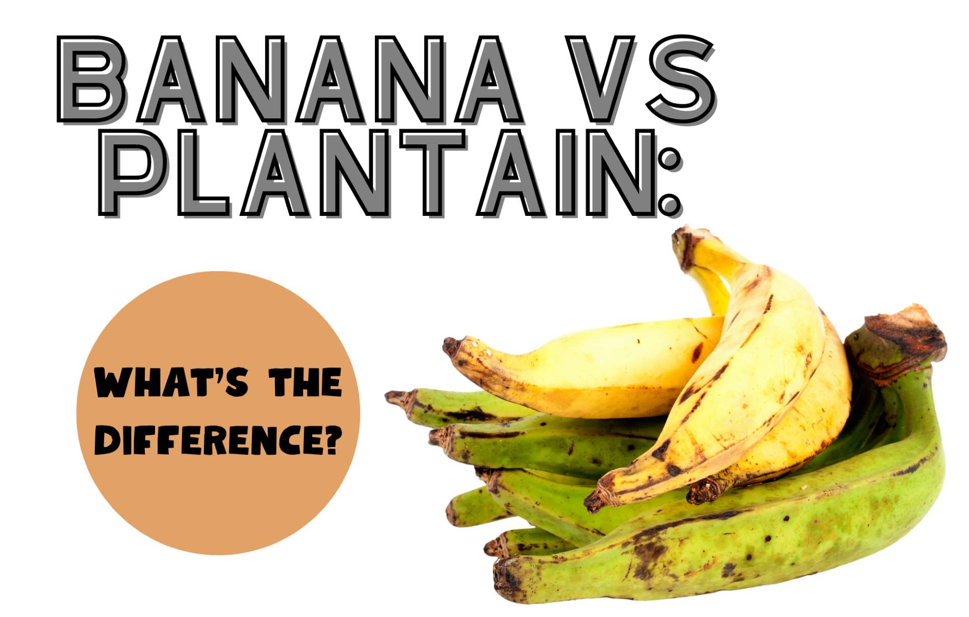 Banana vs Plantains: What’s the Difference?