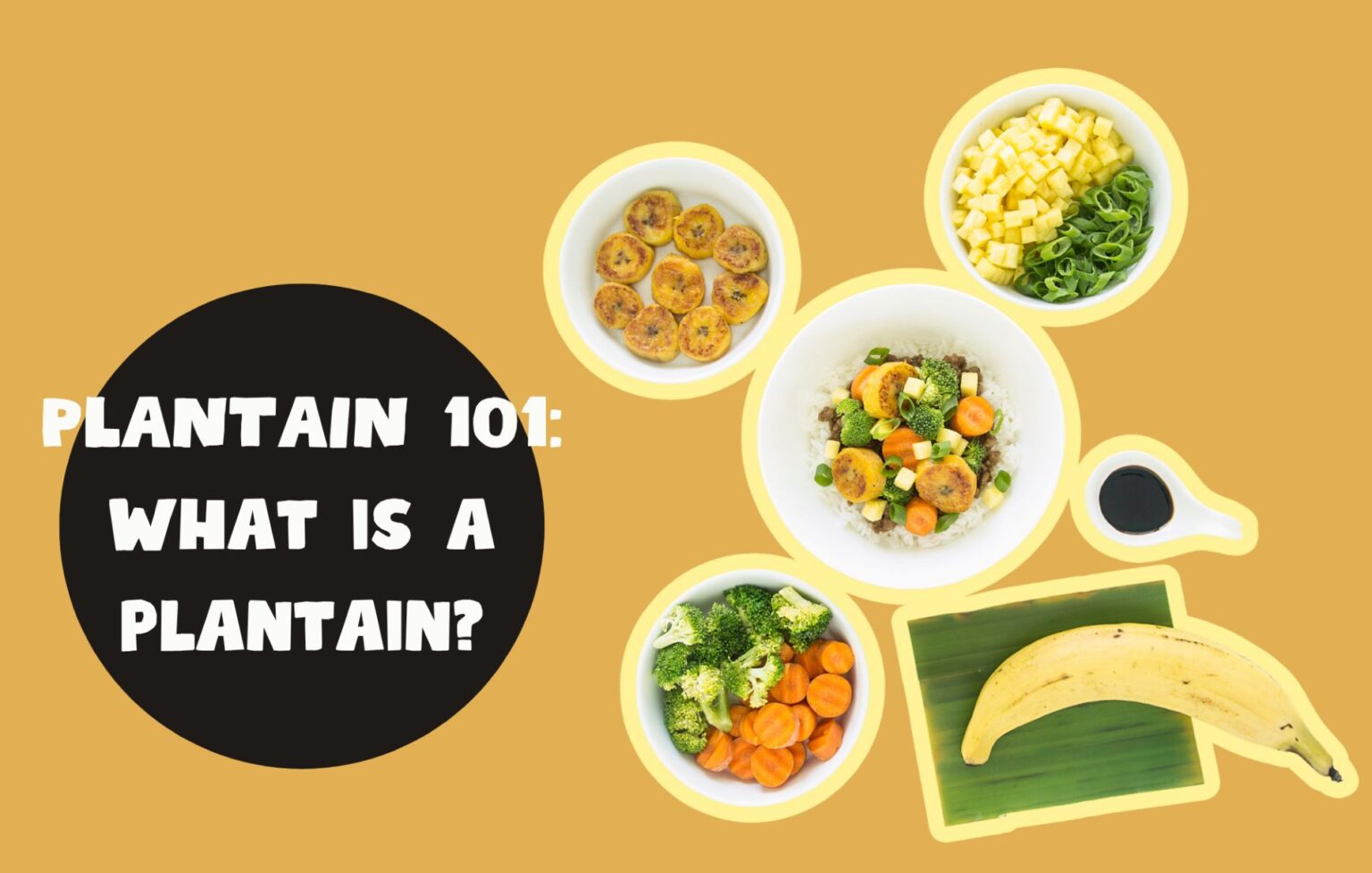 Plantain 101: What Is A Plantain? | MIC Food