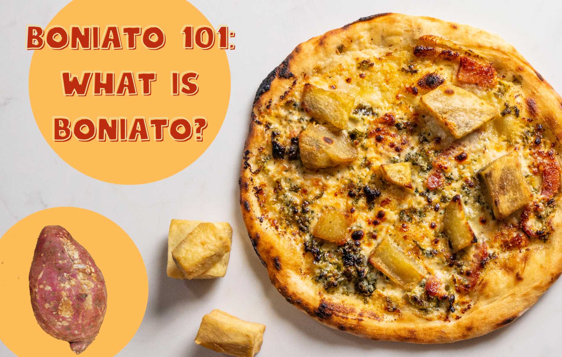 Boniato 101: What is Boniato?