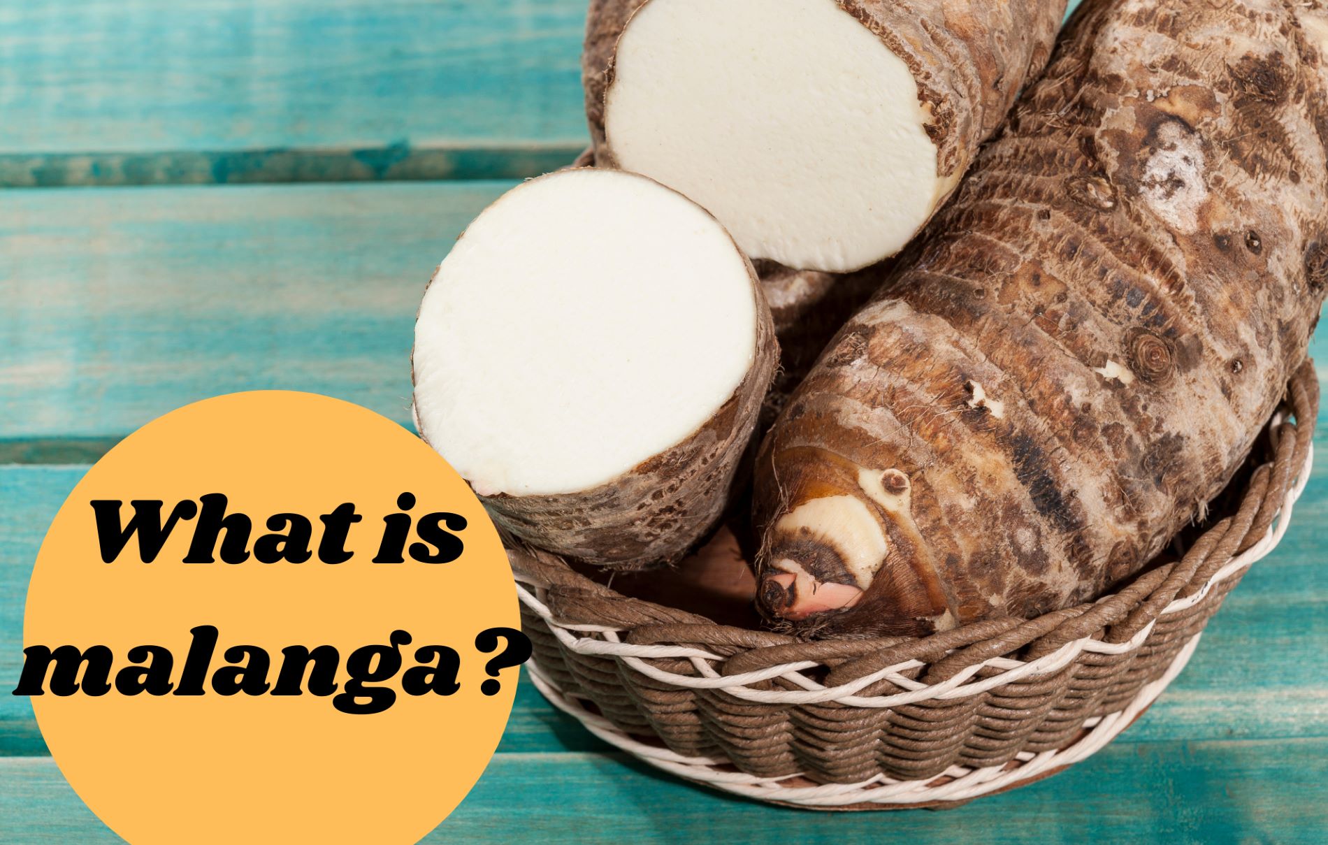 Malanga 101: What is Malanga?