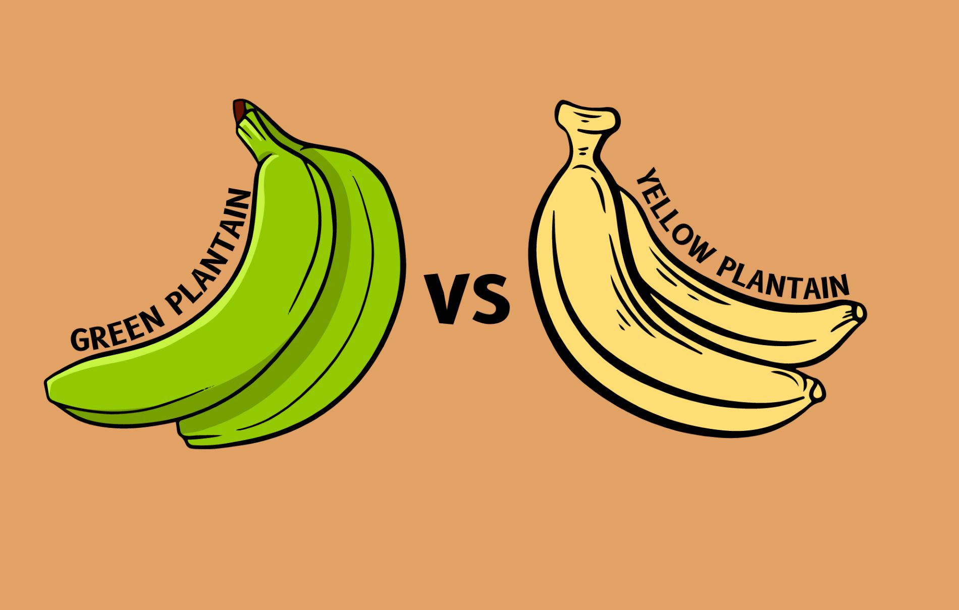 Green Plantains vs Yellow Plantains: What’s the Difference?