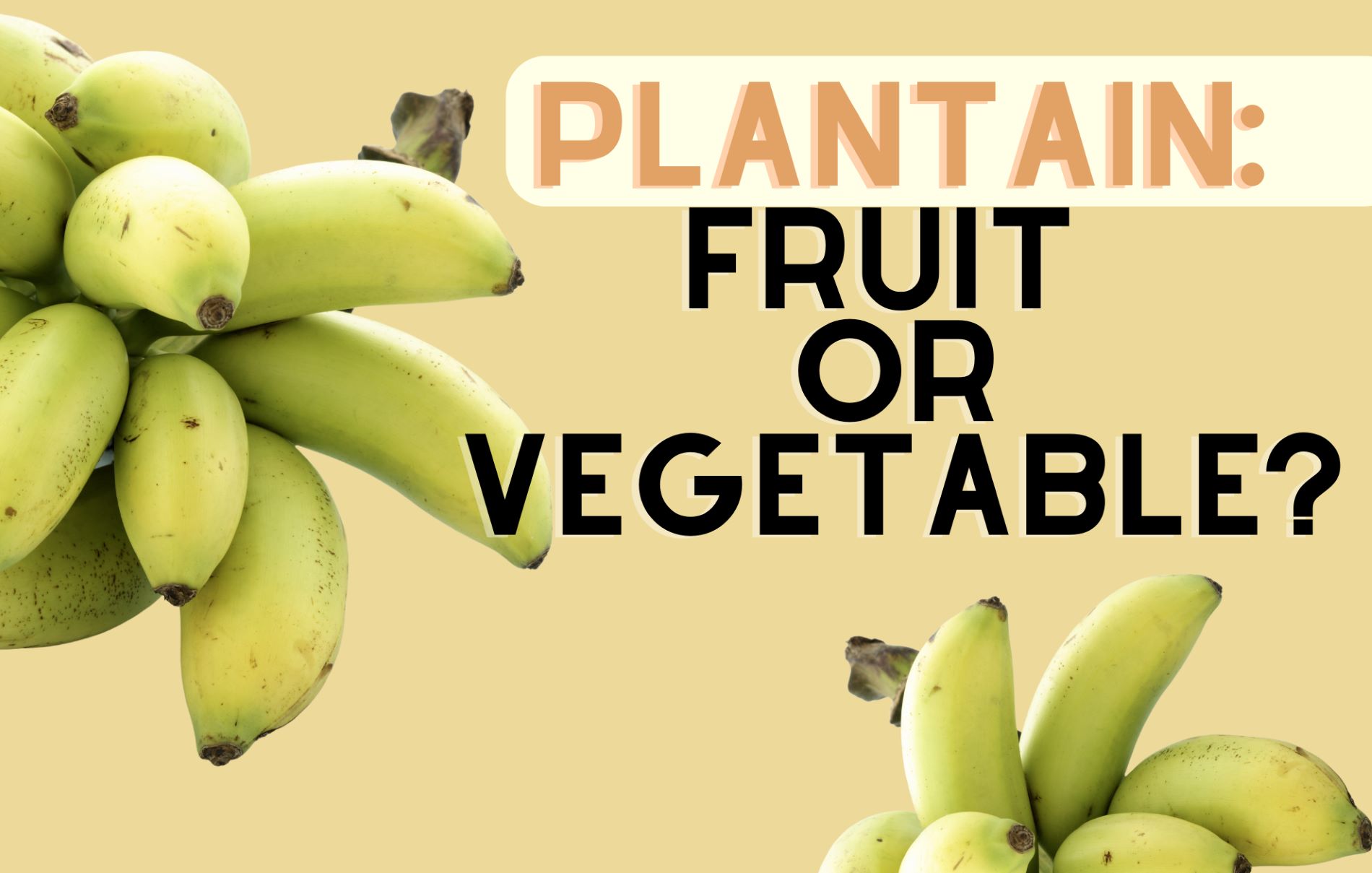 Is the Plantain a Fruit or Vegetable?