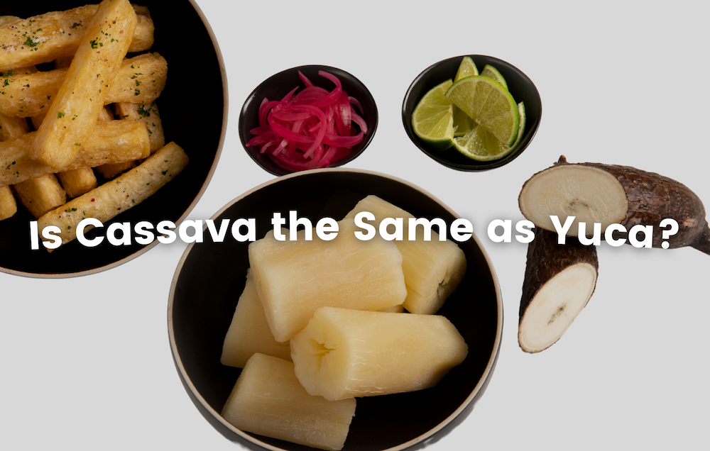 CASSAVA YUCA Blog Cover