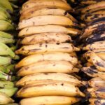 about the plantain